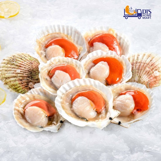 Half Shell Russia Scallop 9-10pcs 俄罗斯半壳带子 1kg