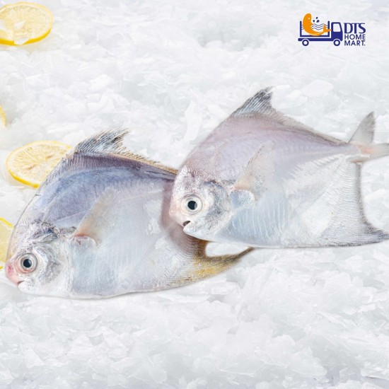 Small White Pomfret 1kg (40-50pcs +/-)